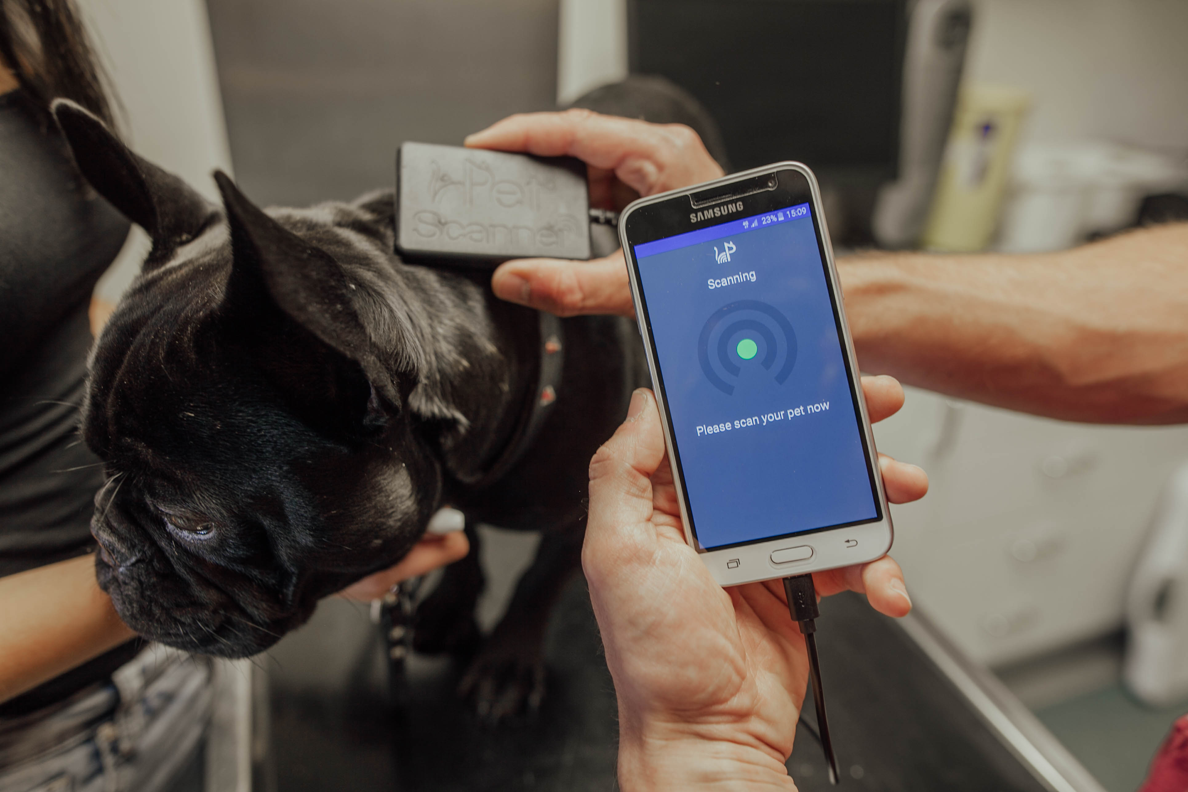 Microchip to 2024 track pets