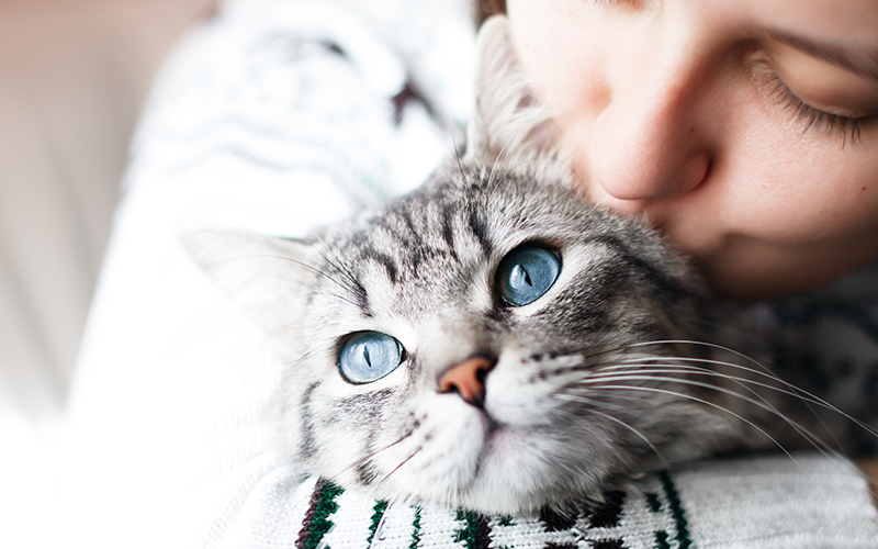 Girl kissing cat