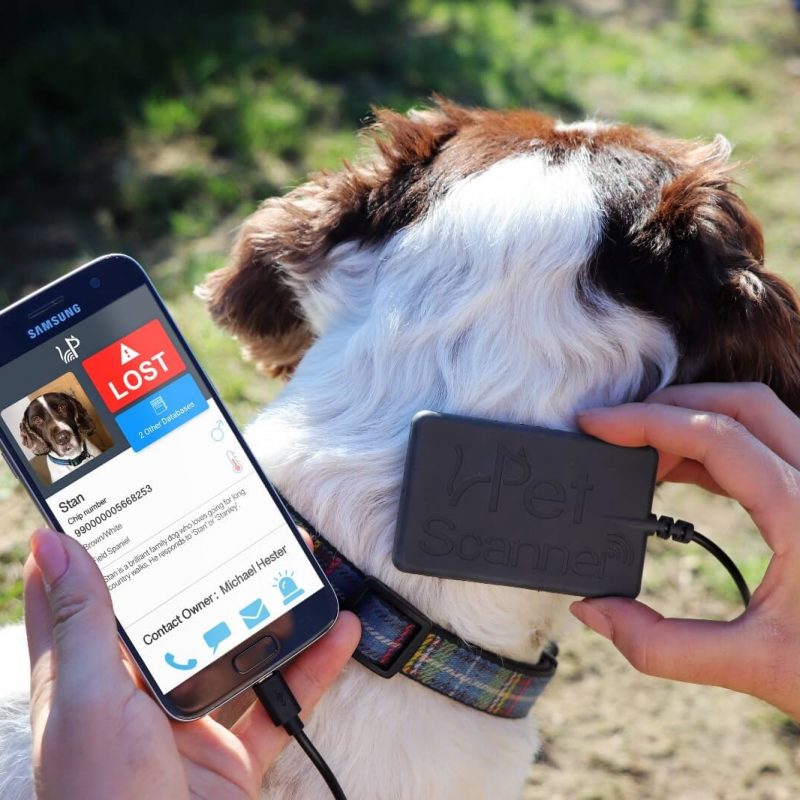 Image of PetScanner reader and app in use on dog