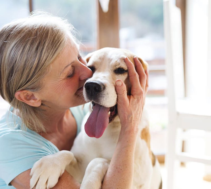 Woman hugging yellow labrador
