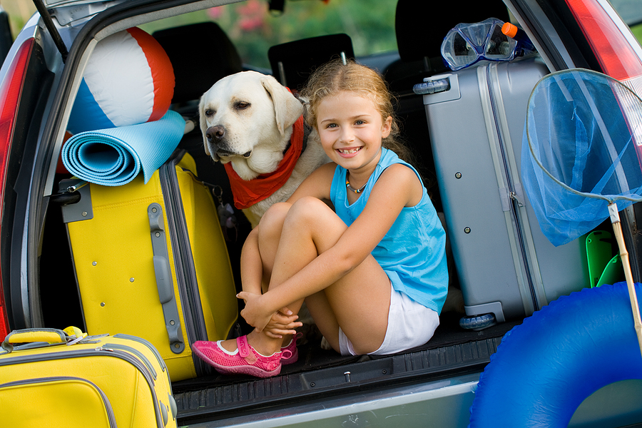 How To Have A Safe Holiday With Your Dog