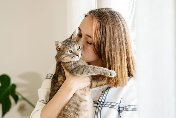 pet scanner cat microchip