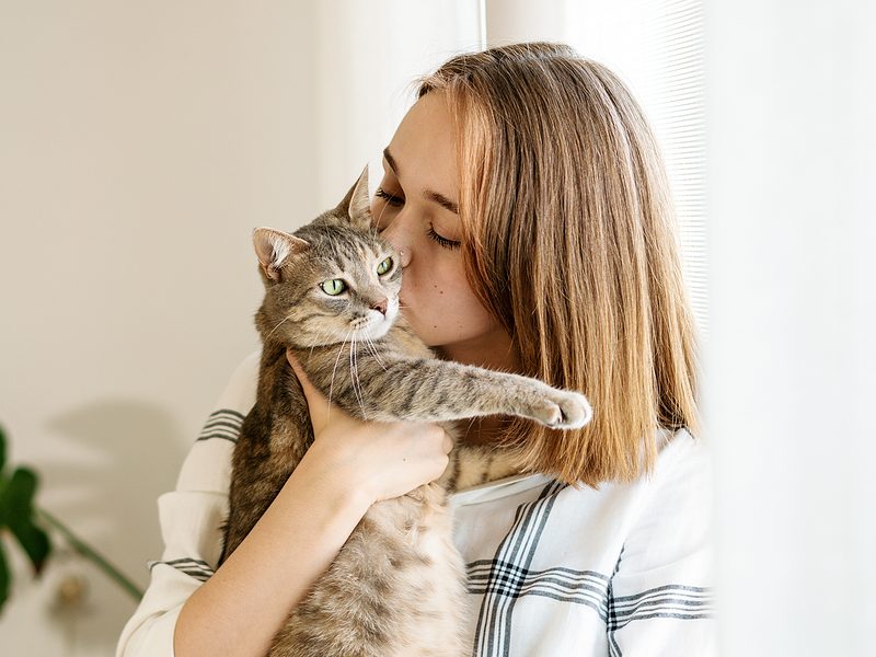 pet scanner cat microchip