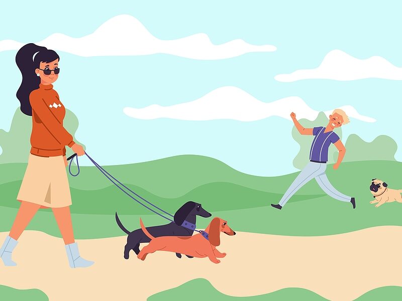 -Dog-Owners-In-Park - microchip register pet