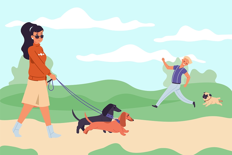 The Arcade Video Game About Dog Walking