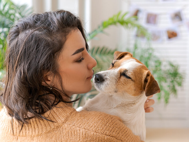 animal names - pet chip