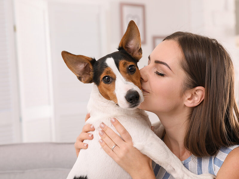 register microchip dog kiss
