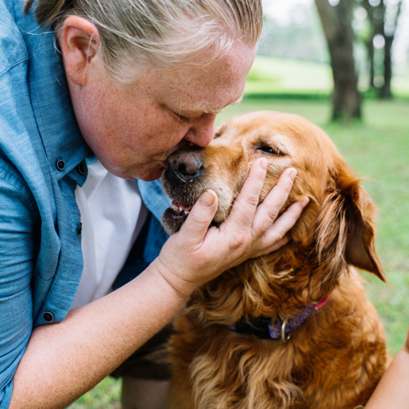 chip checker - reunited with dog