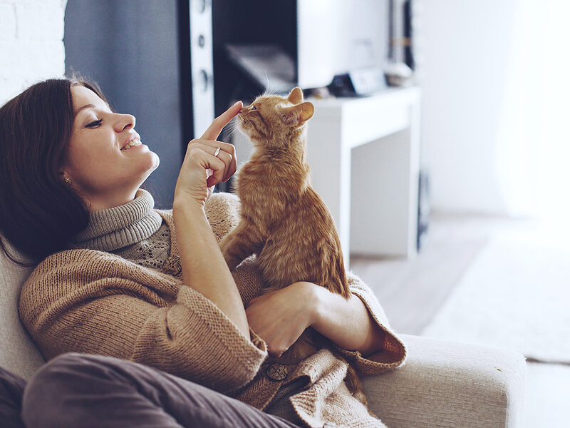 cat microchip