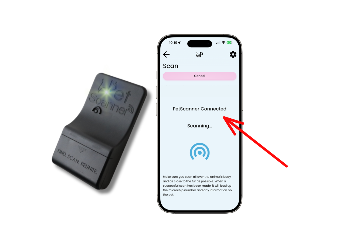 Why Should You Continuously Update Your Pet’s Microchip Details?