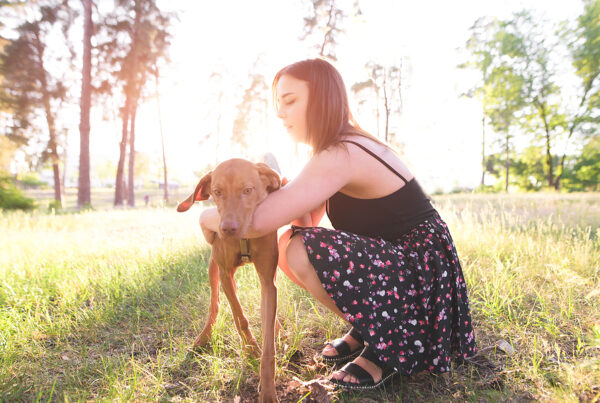 register a dog microchip