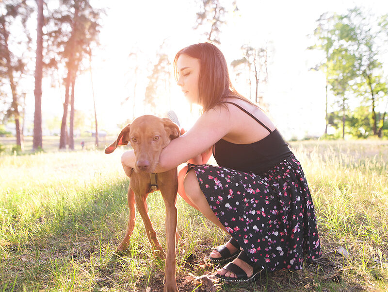 register a dog microchip
