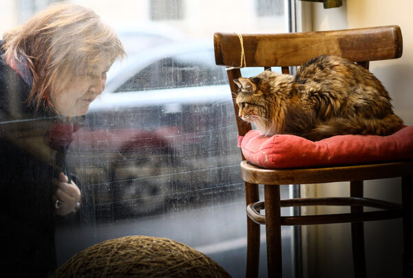 register cat microchip